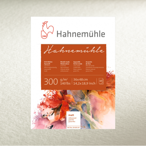 ���� ����������� Hahnemuhle 300