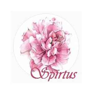 Spirtus_Art_Store